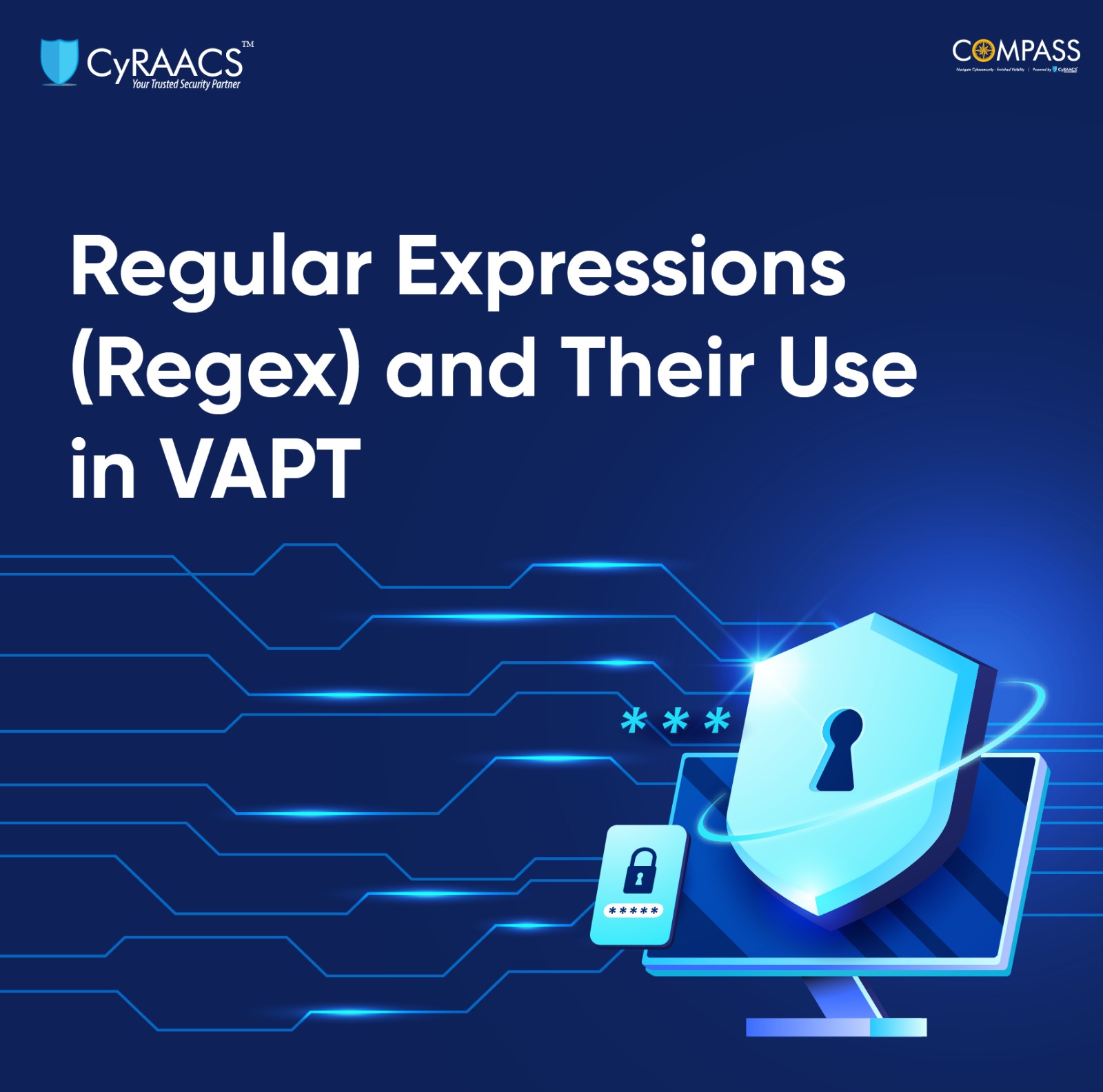 Regular Expressions (Regex) and Their Use in VAPT
